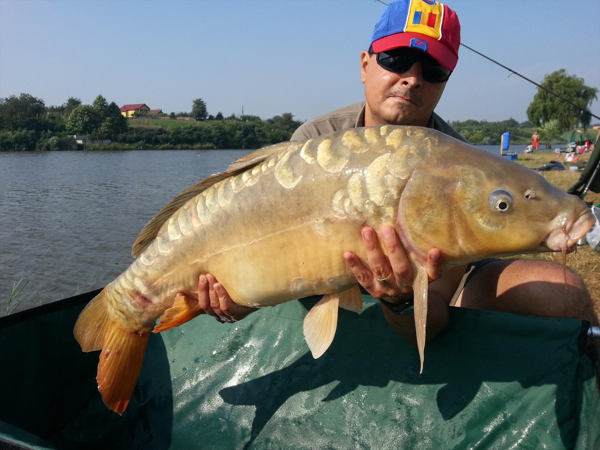 Moara Vlasiei 2 15 august 2014 - 20140815093104.jpg